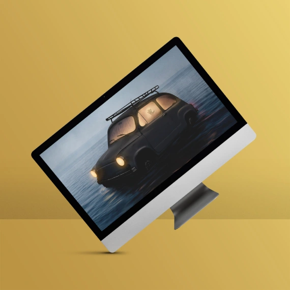 Patient Information & <br>  Application Submission